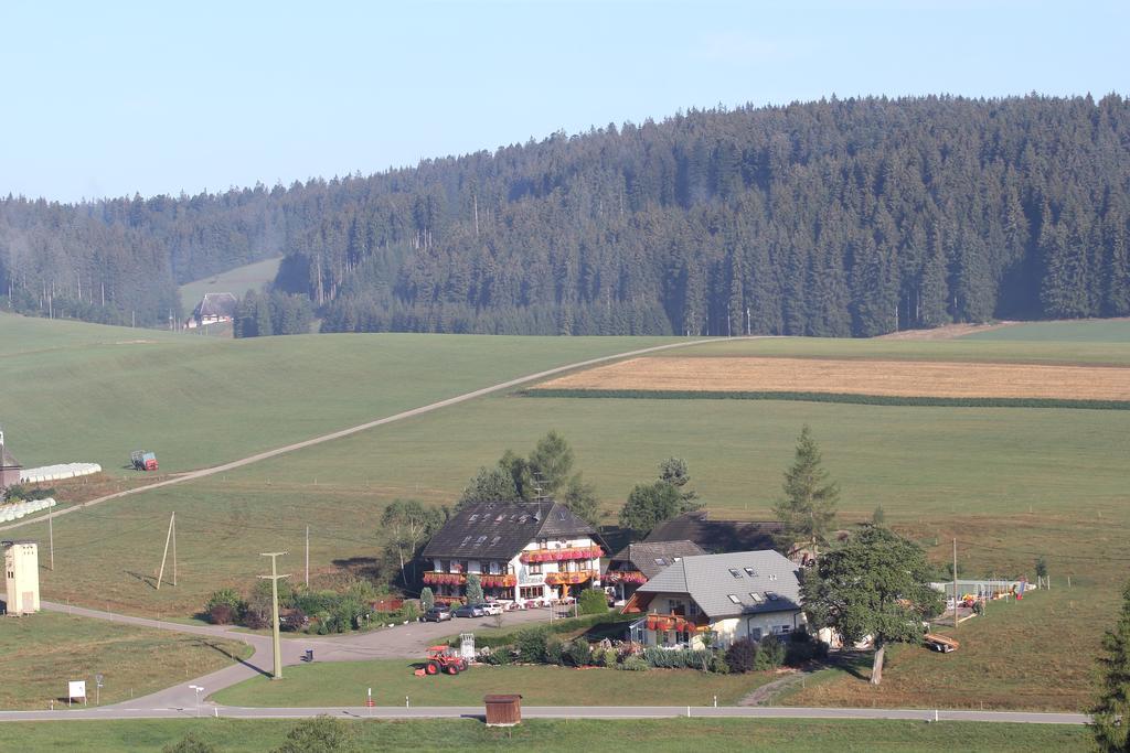 Pension Altvogtshof Eisenbach (Breisgau-Hochschwarzwald) Exterior foto