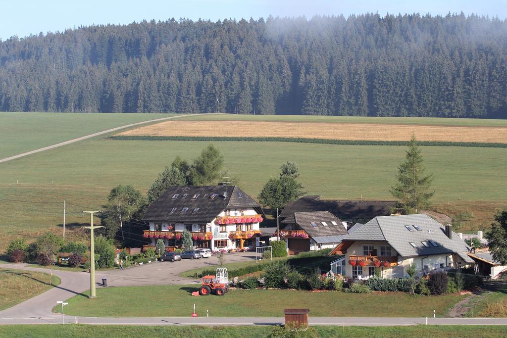 Pension Altvogtshof Eisenbach (Breisgau-Hochschwarzwald) Exterior foto