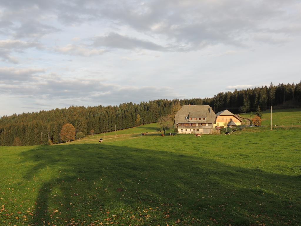 Pension Altvogtshof Eisenbach (Breisgau-Hochschwarzwald) Exterior foto