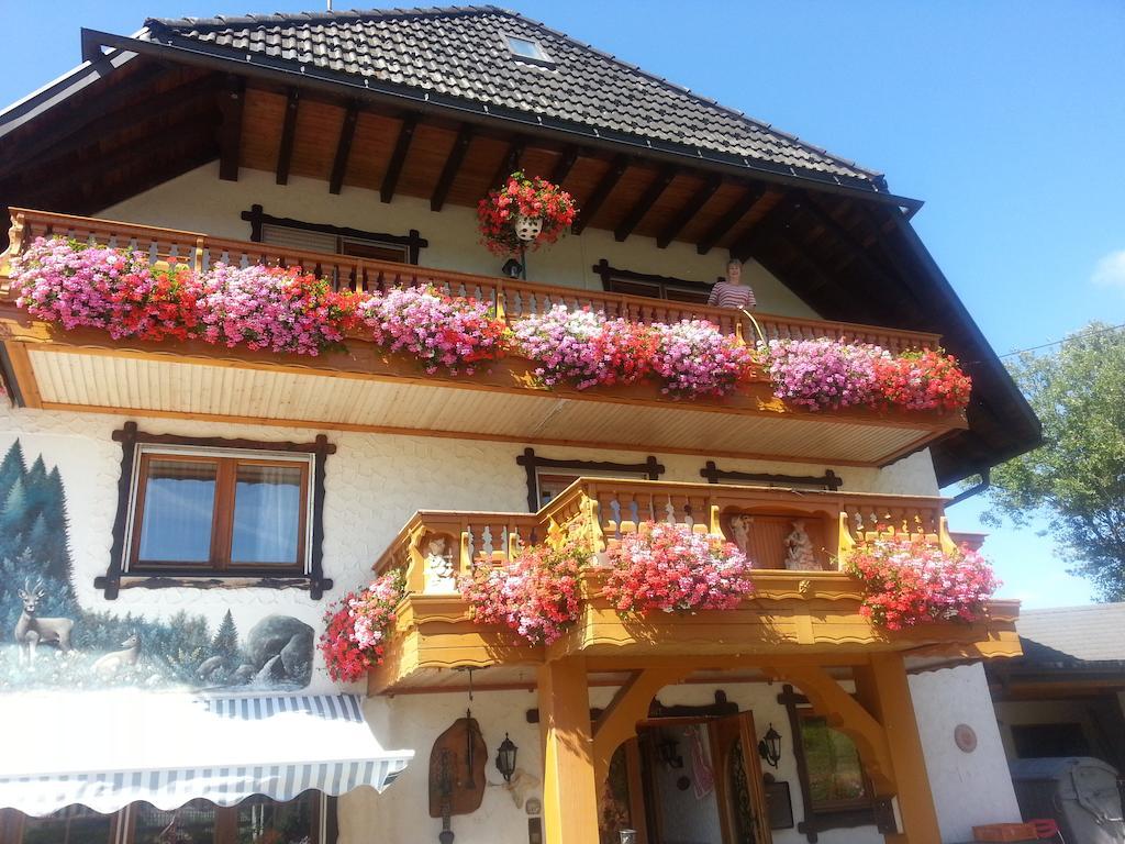 Pension Altvogtshof Eisenbach (Breisgau-Hochschwarzwald) Exterior foto