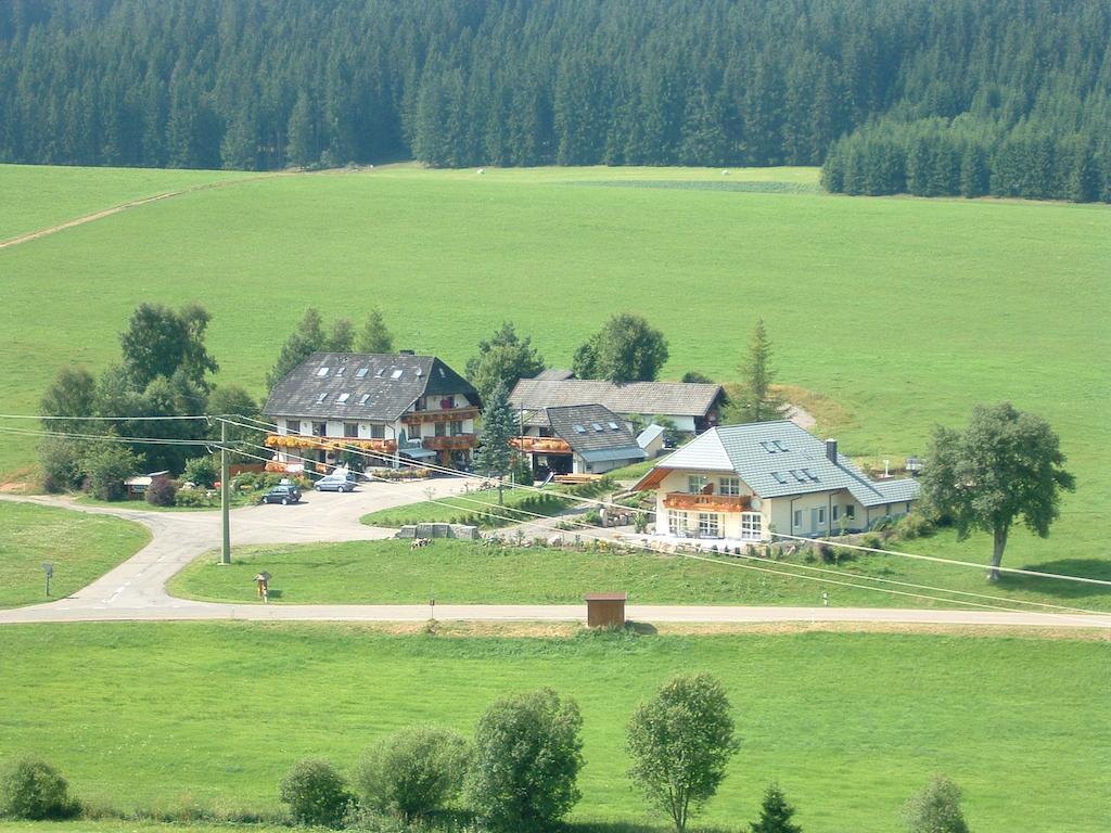 Pension Altvogtshof Eisenbach (Breisgau-Hochschwarzwald) Exterior foto