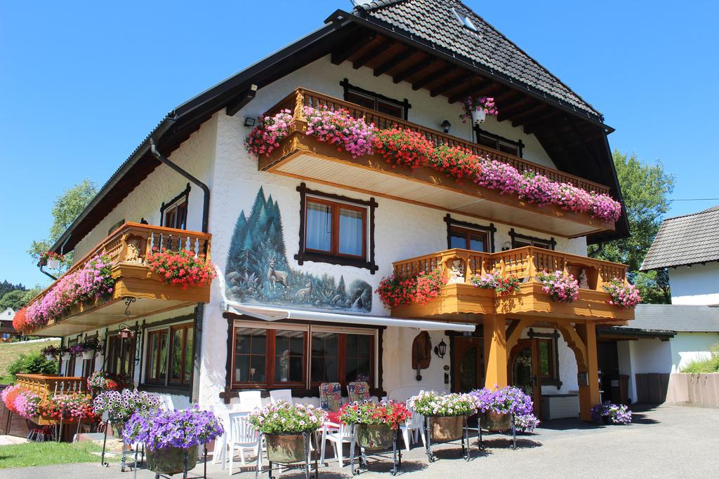 Pension Altvogtshof Eisenbach (Breisgau-Hochschwarzwald) Exterior foto